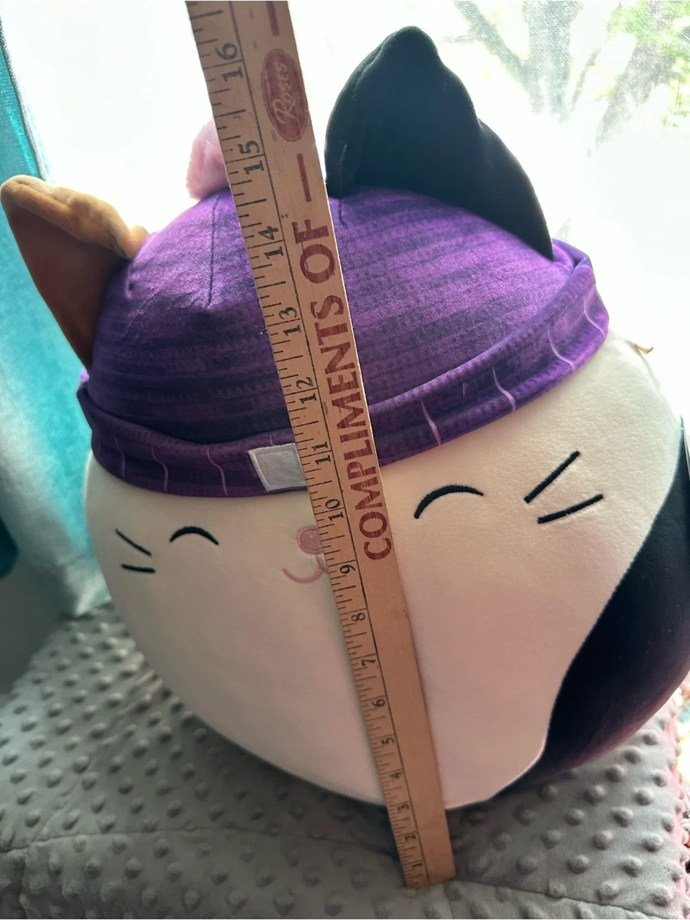 Squishmallows Calico Cat Plush with Purple Hat